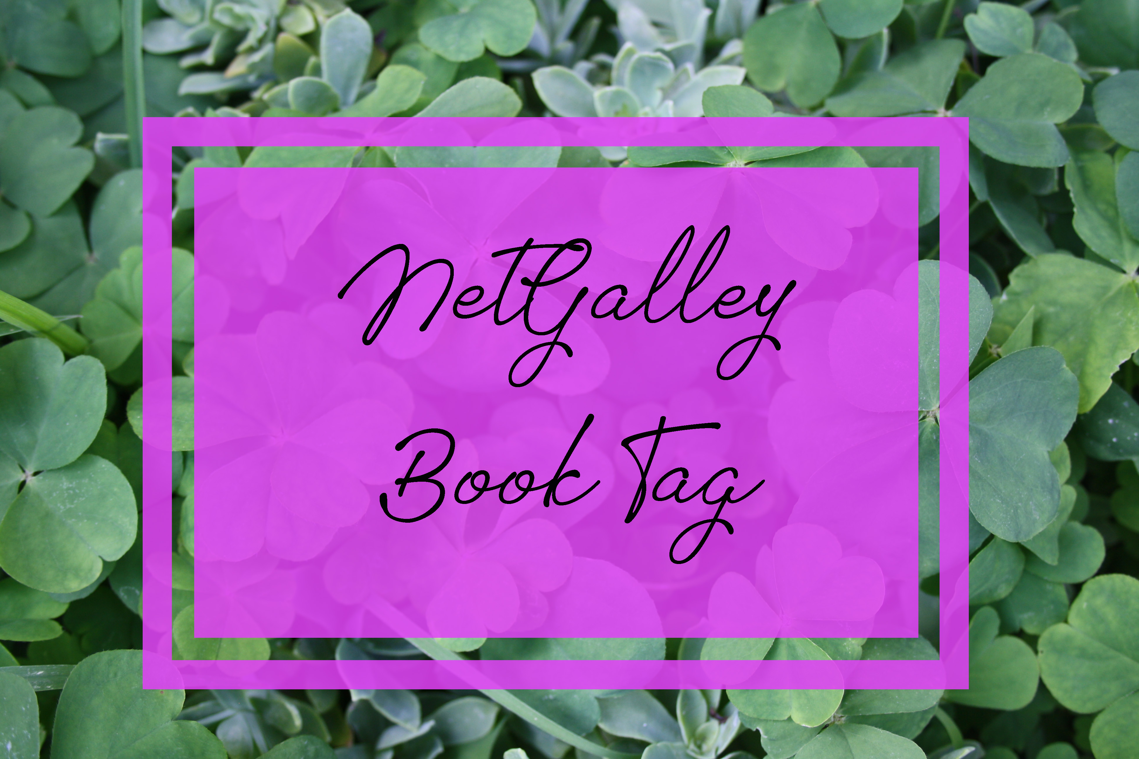 NetGalley Book Tag