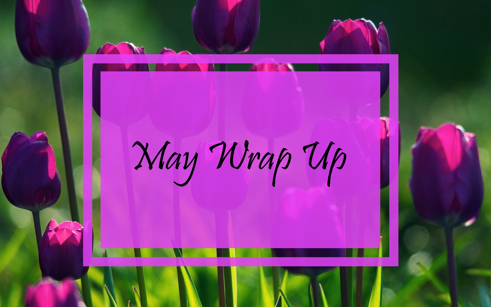 May Wrap Up