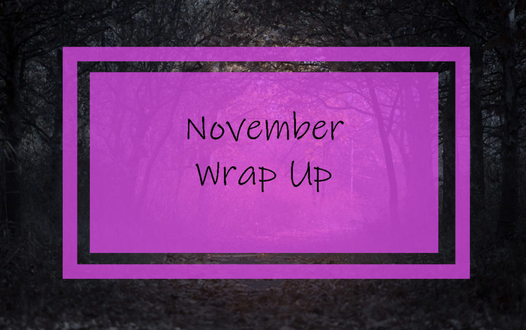 November Wrap Up