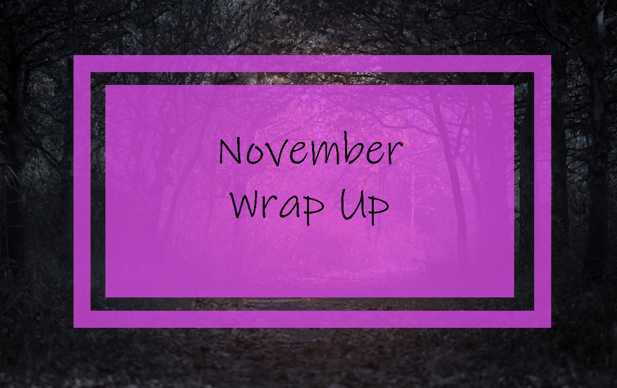 November Wrap Up